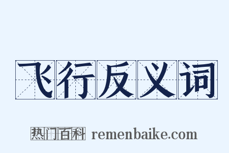 飞行反义词是什么意思的图片